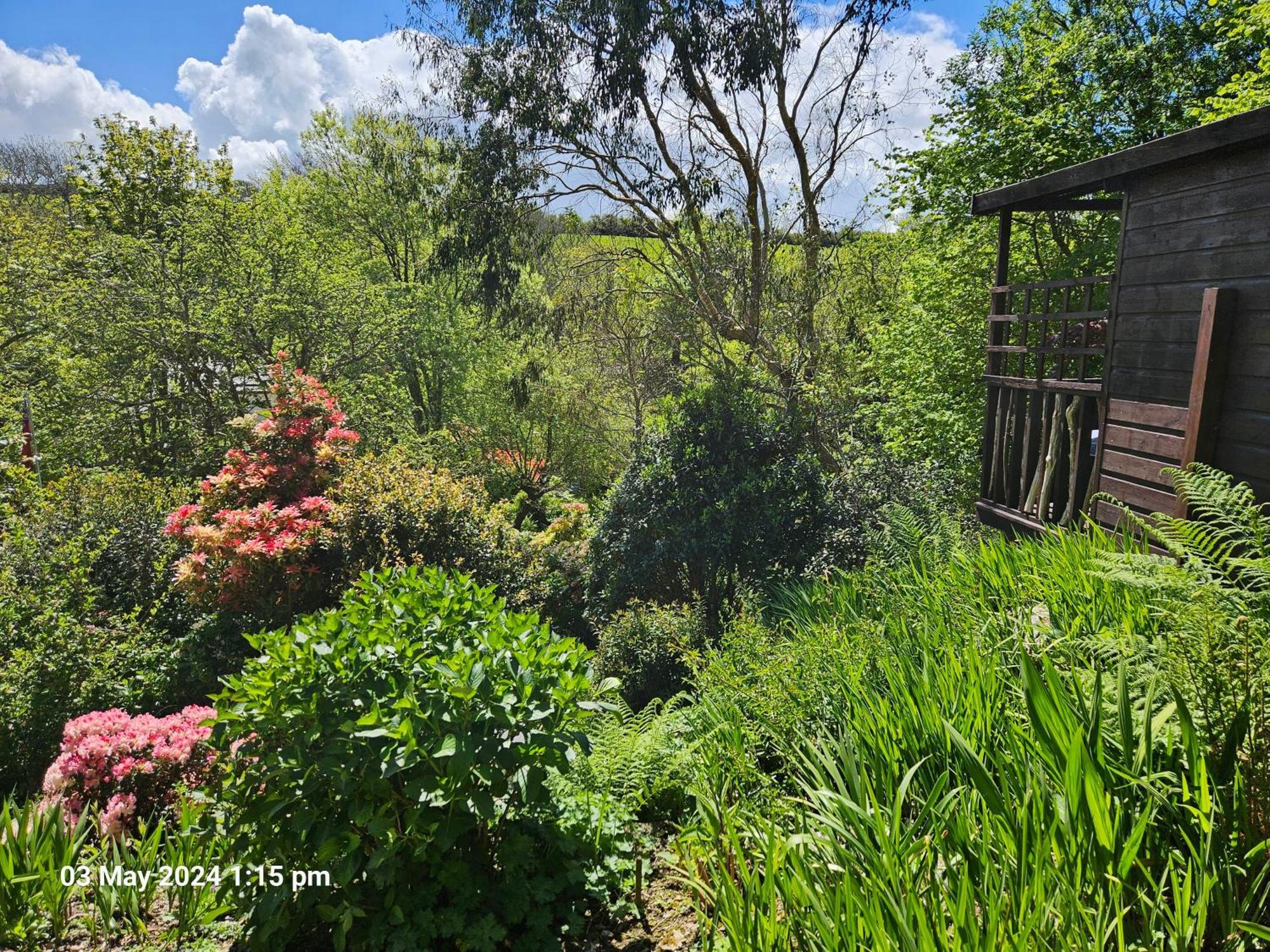 Treetops Lodge, Private Parking & Garden Truro Eksteriør billede
