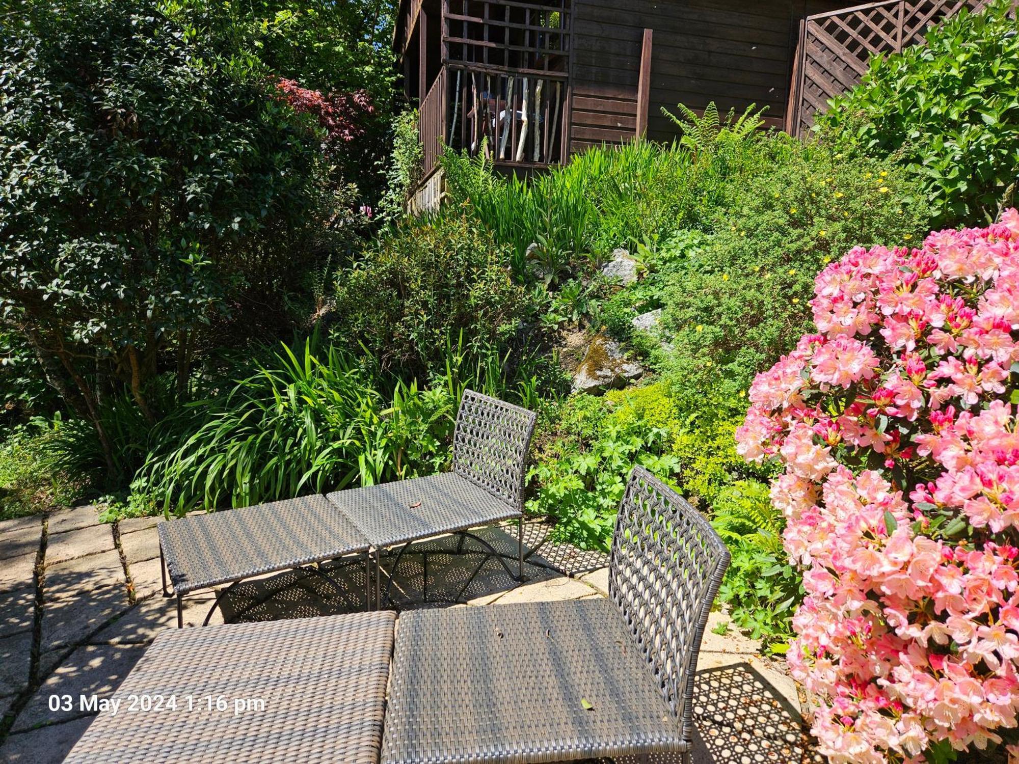 Treetops Lodge, Private Parking & Garden Truro Eksteriør billede